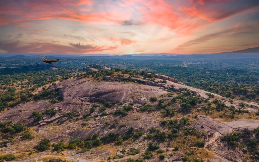 The Natural Beauty of Texas: Exploring the State’s Stunning Parks, Beaches, and Wildlife